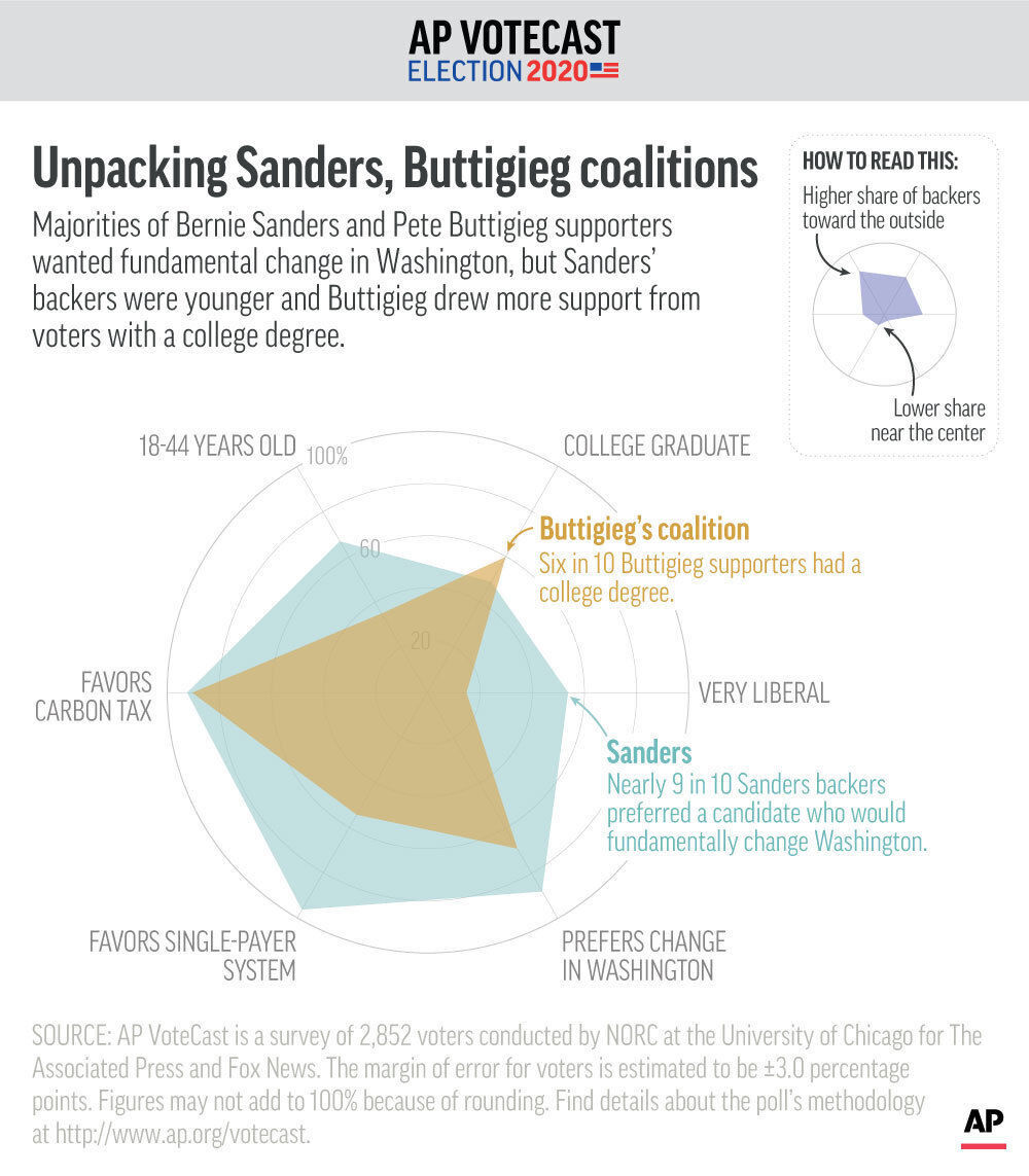 AP VoteCast Sanders-Buttigieg Coalition